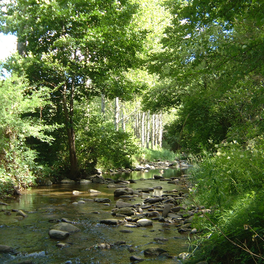 séjour nature belmont-sur-rance Le Petit Marcheur