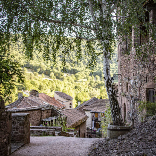 séjour slow tourisme vallée du Rance Le petit Marcheur